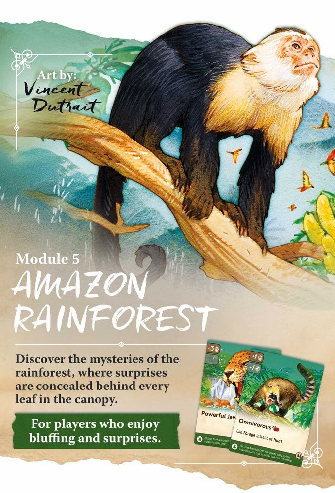 Nature: Module 5 - Amazon Rainforest – Tabletop Games Pty Ltd