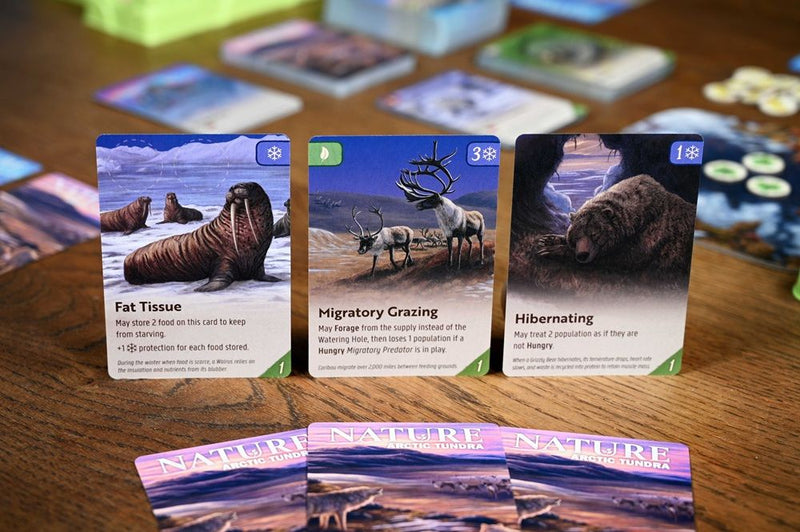 Nature: Module 4 - Arctic Tundra