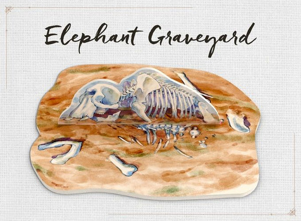 Nature: Elephant Graveyard Mini-Module