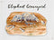 Nature: Elephant Graveyard Mini-Module