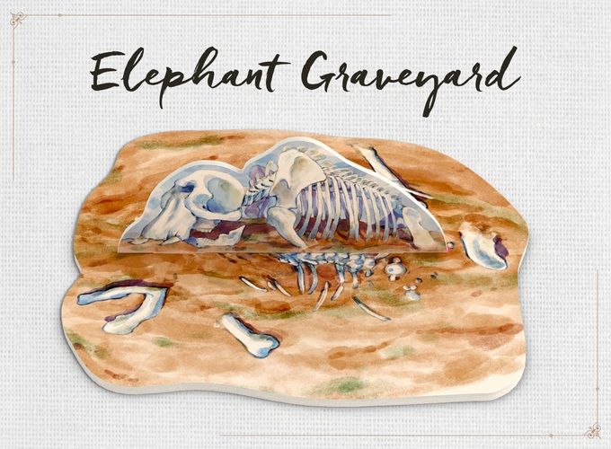 Nature: Elephant Graveyard Mini-Module