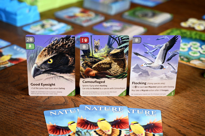 Nature: Module 1 - Flight
