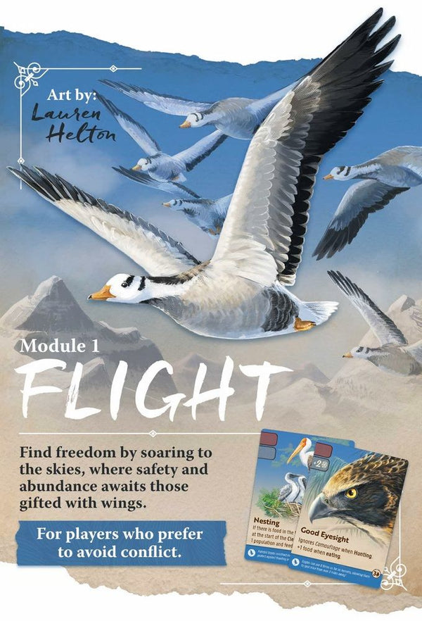 Nature: Module 1 - Flight