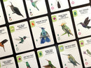 Wingspan: Americas