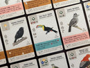 Wingspan: Americas