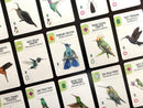 Wingspan: Americas