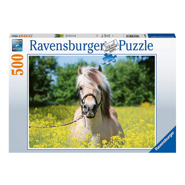 Puzzle: (500 pc) White Horse
