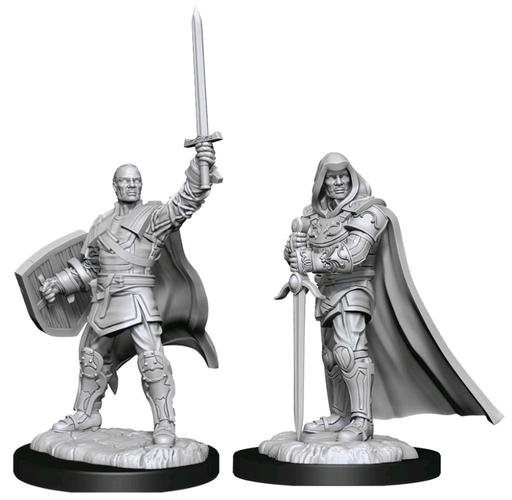 D&D Nolzur's Marvelous Unpainted Miniatures: Male Human Paladin (2020)